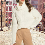 Casual Turtleneck Solid Color Women