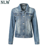 Blue Rose Embroidery Denim Jacket